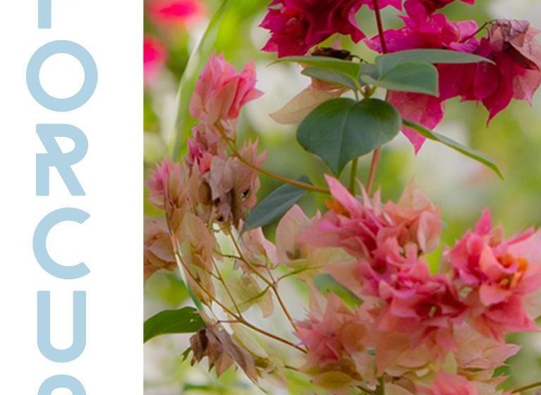 פנסיון Forcus Cabanas