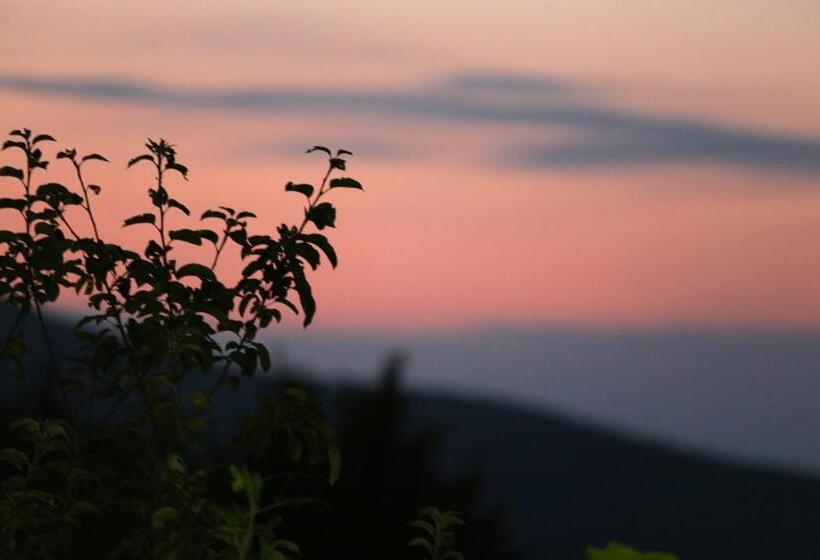 پانسیون Guest House Pirosmani 60