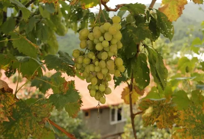 پانسیون Guest House Pirosmani 60