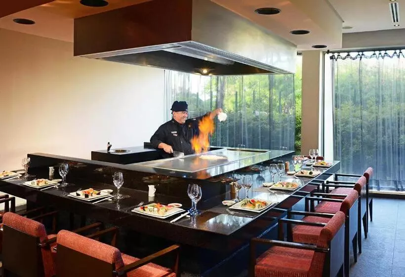 Catalonia Riviera Maya Resort & Spa - All Inclusive