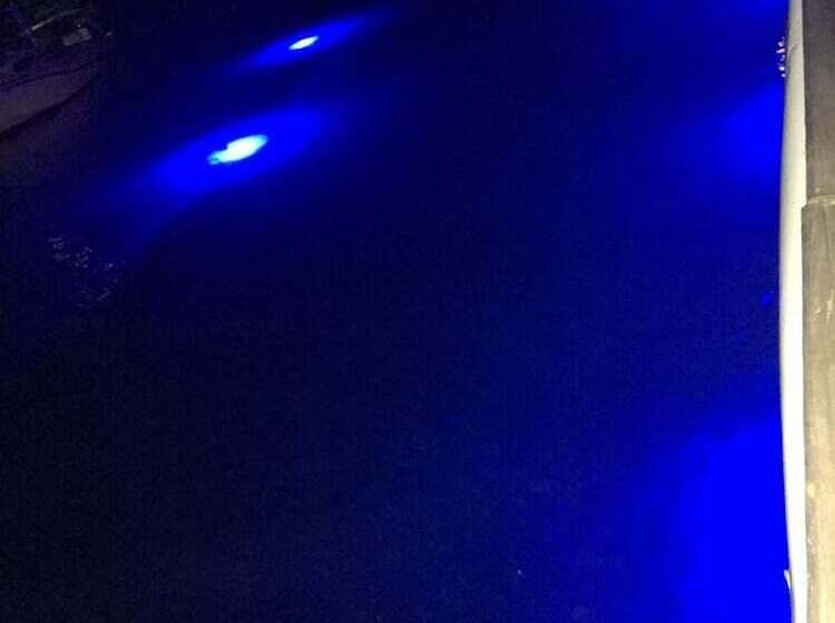 هتل Mamacitas Guest House