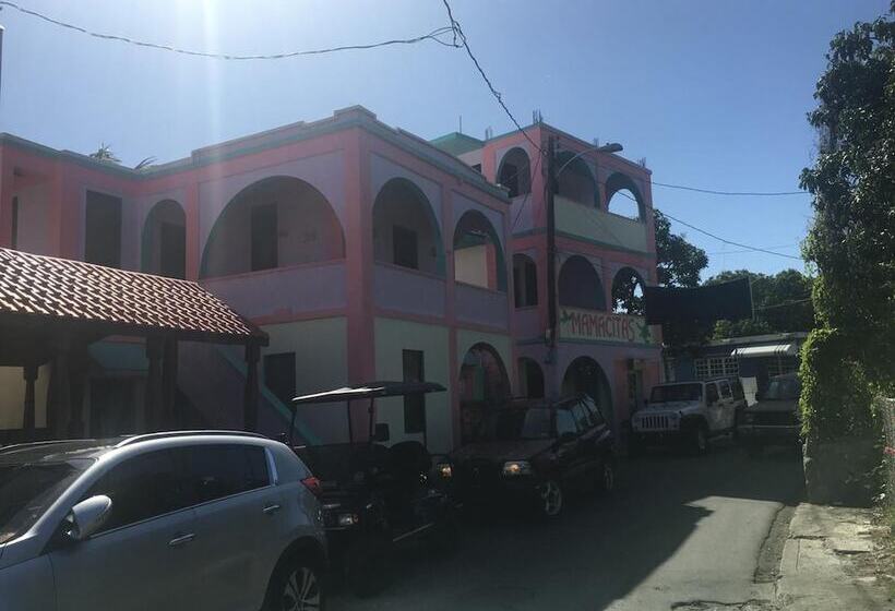 هتل Mamacitas Guest House