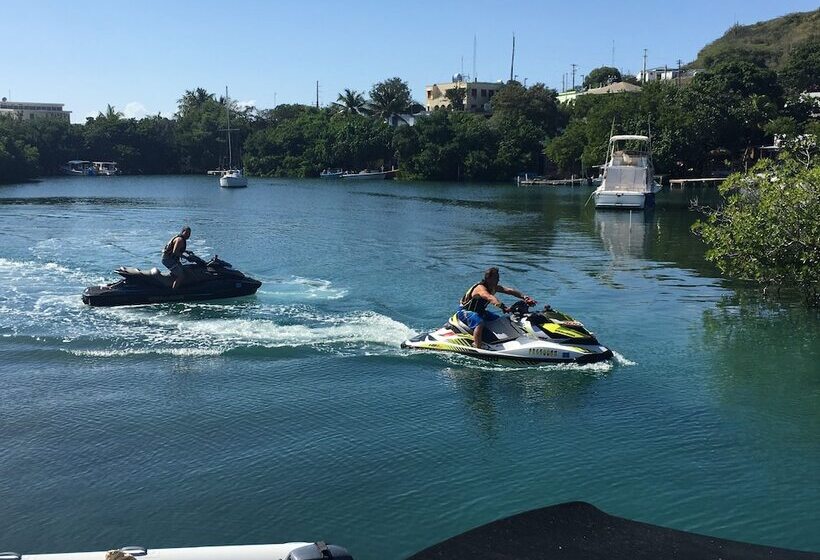 هتل Mamacitas Guest House