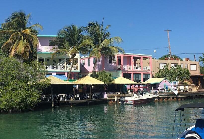 هتل Mamacitas Guest House