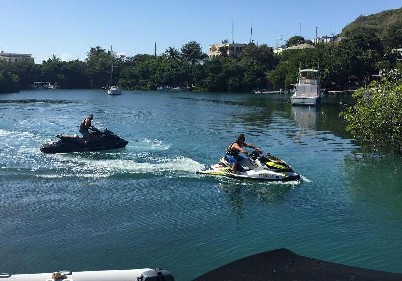 هتل Mamacitas Guest House