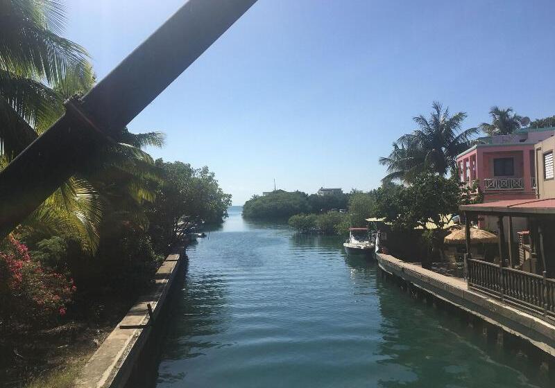 هتل Mamacitas Guest House