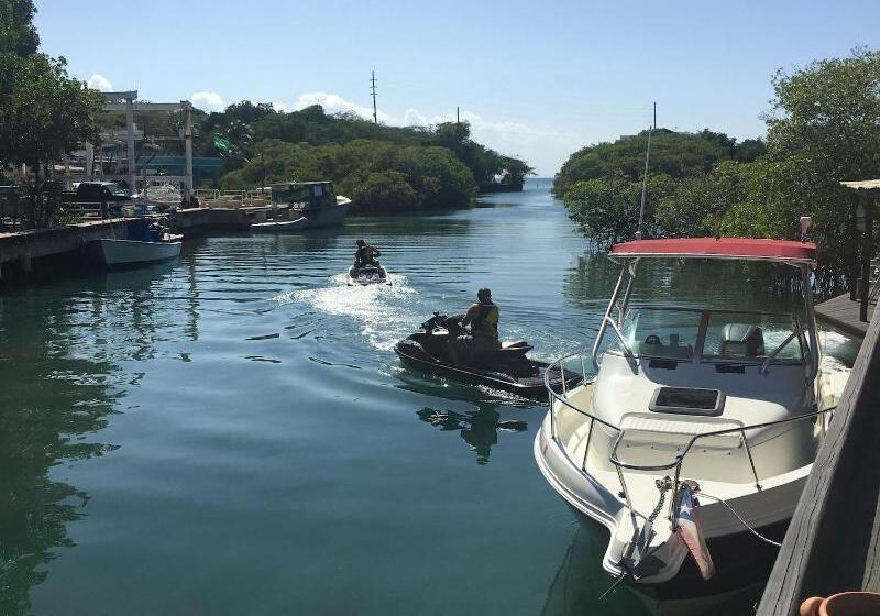 هتل Mamacitas Guest House