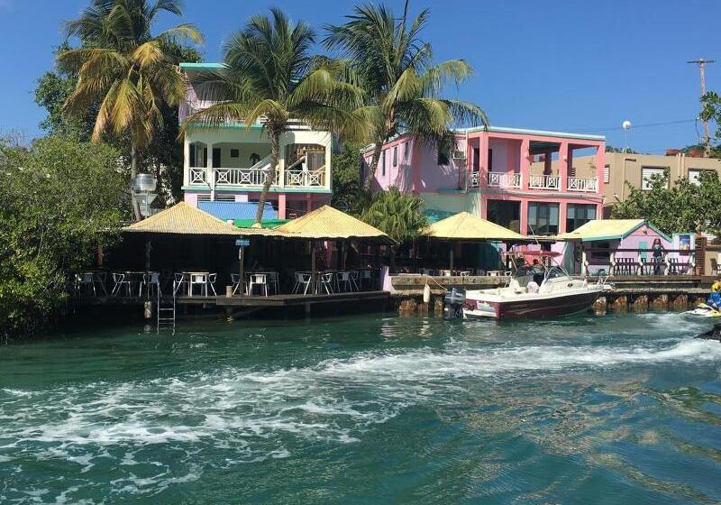 هتل Mamacitas Guest House