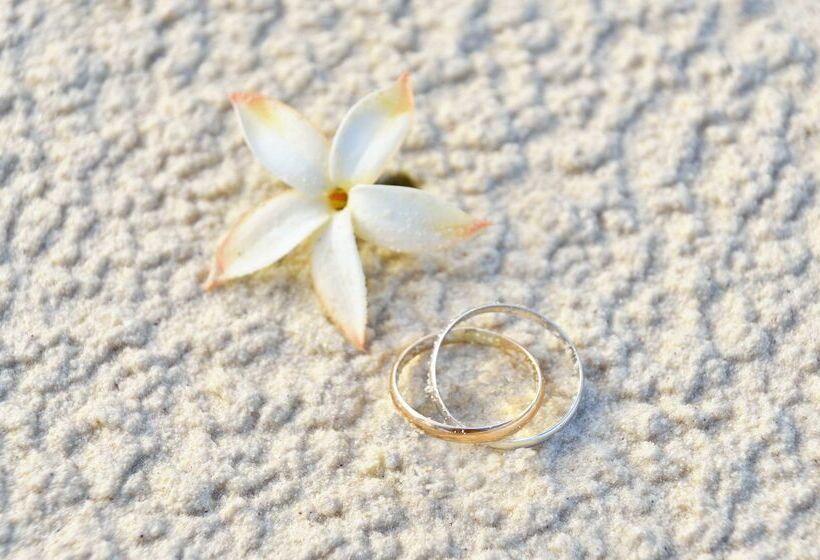 هتل Meliá Cayo Coco - Adults Only