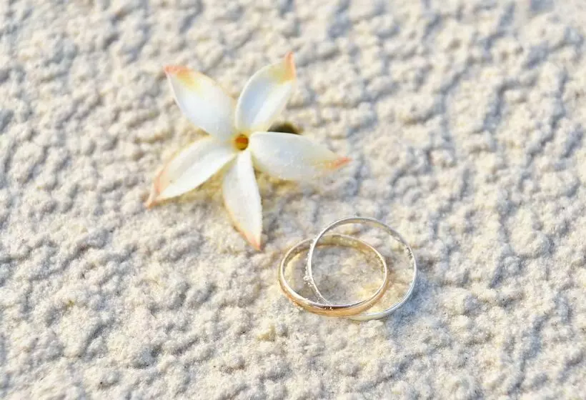 هتل Meliá Cayo Coco - Adults Only