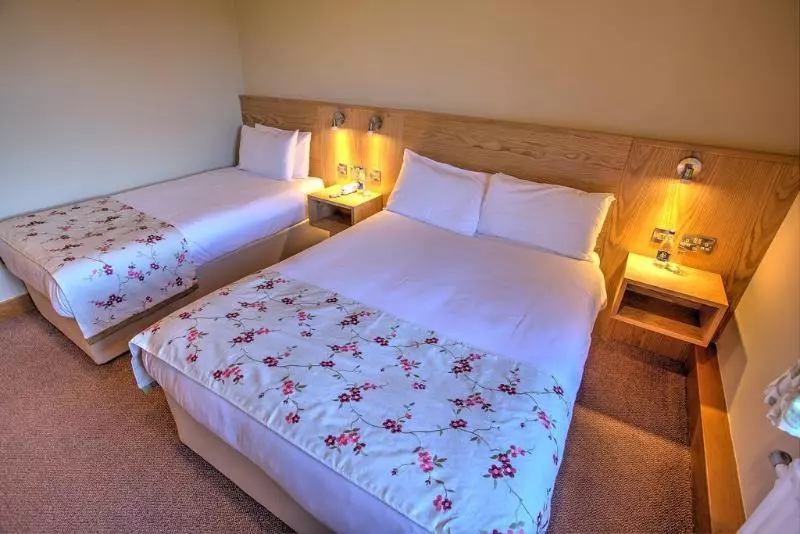 ホテル The Lucan Spa