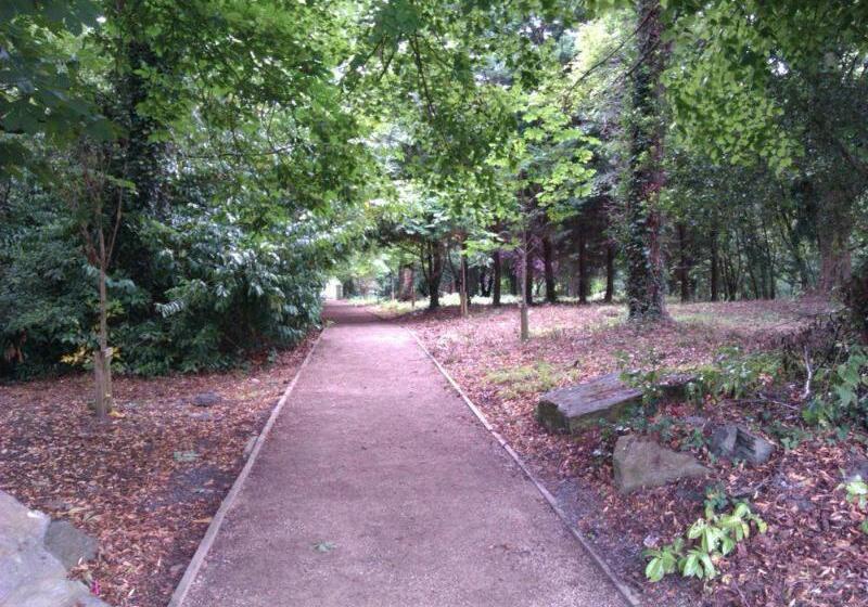 Отель The Lucan Spa