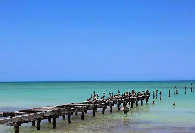 ホテル Cabanas El Cuyo