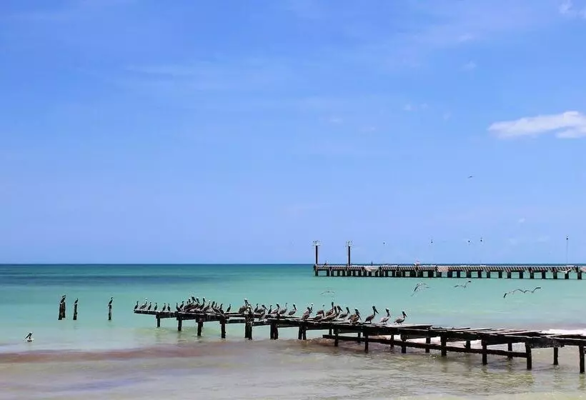 ホテル Cabanas El Cuyo