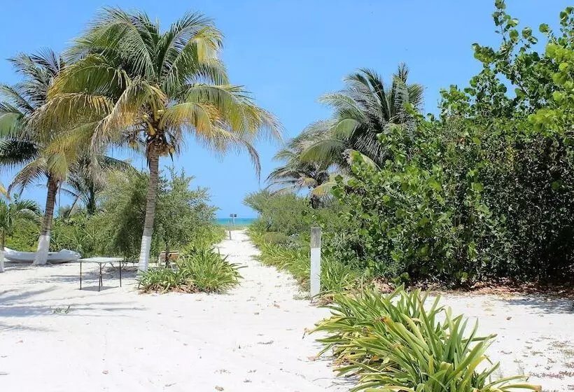 ホテル Cabanas El Cuyo