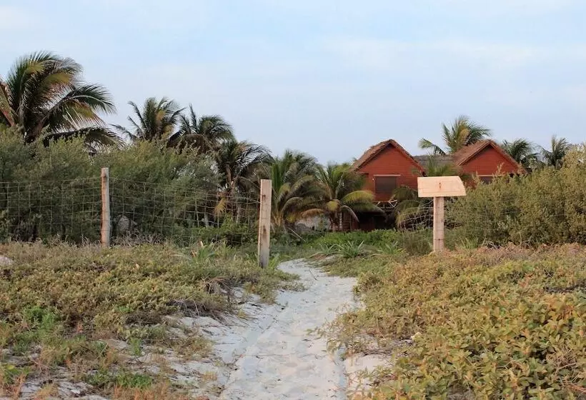 ホテル Cabanas El Cuyo