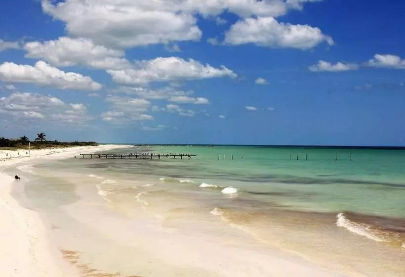 ホテル Cabanas El Cuyo