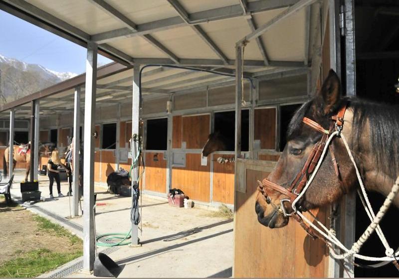 Отель Il Mulino Di Mattie