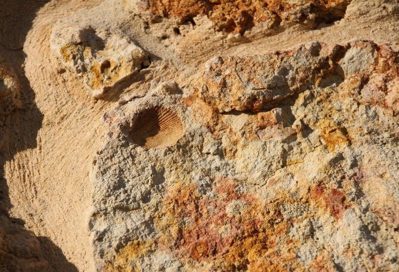 Jeedamya Bed And Breakfast