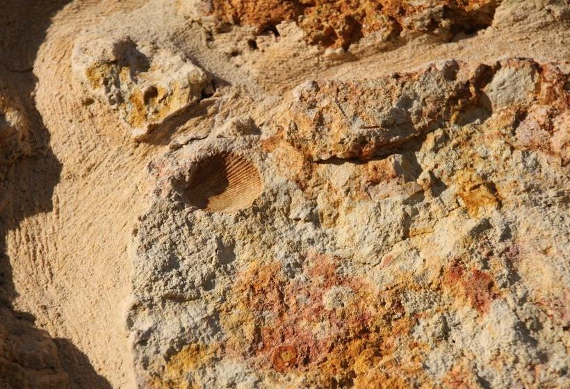 Jeedamya Bed And Breakfast