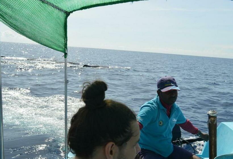 リゾートホテル Dutch Bay Beach Cottages