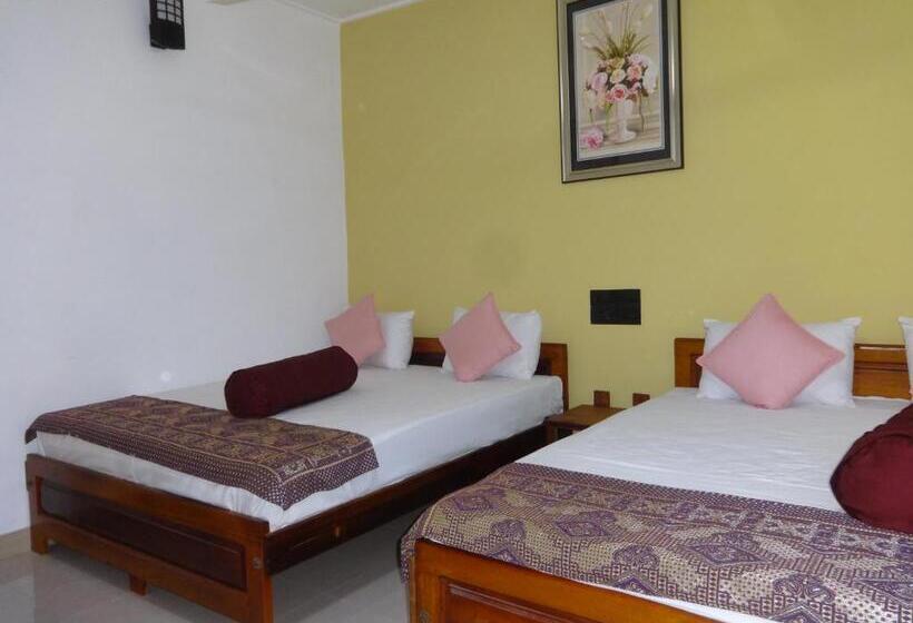 リゾートホテル Dutch Bay Beach Cottages