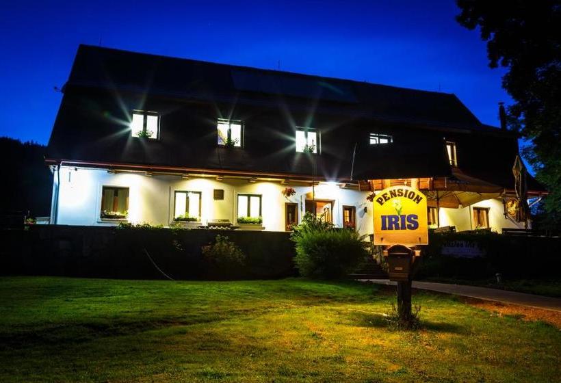 ペンション Penzion Iris Krkonoše