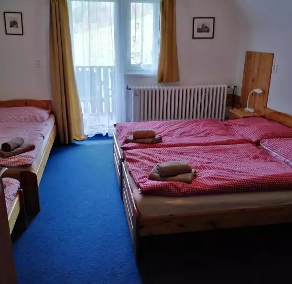 Majatalo Penzion Iris Krkonoše
