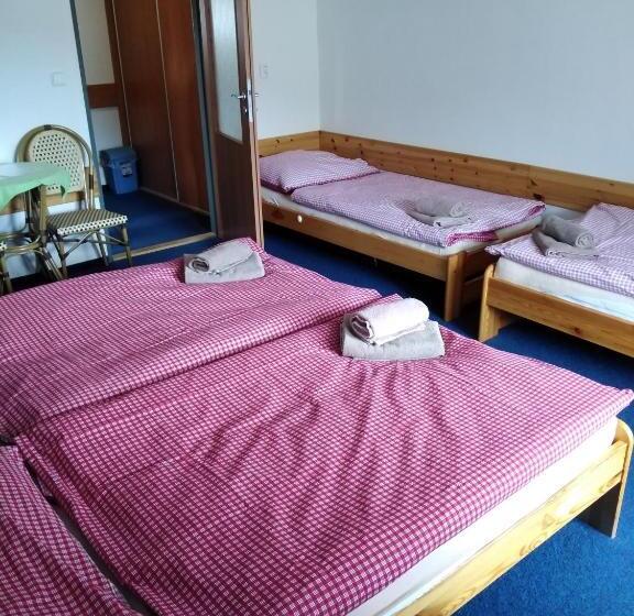 ペンション Penzion Iris Krkonoše