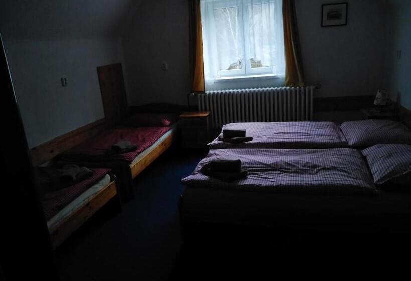 ペンション Penzion Iris Krkonoše