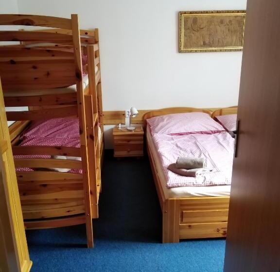 ペンション Penzion Iris Krkonoše