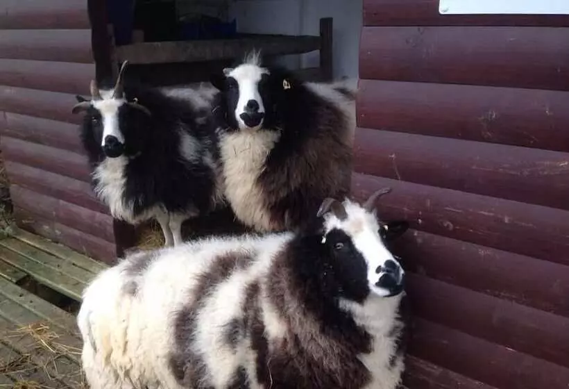 ホテル Wall Eden Farm