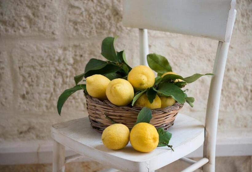 Antica Via Roma B&b E Relax