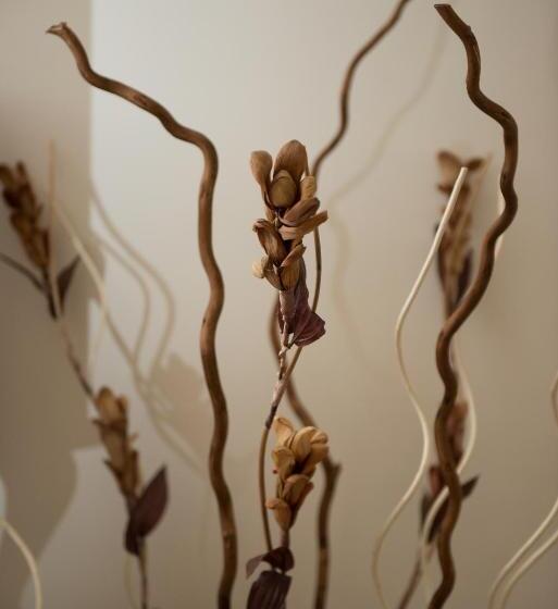 Antica Via Roma B&b E Relax