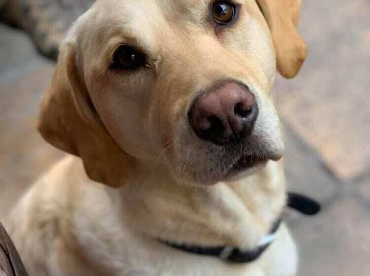 פונדק The Cross Keys