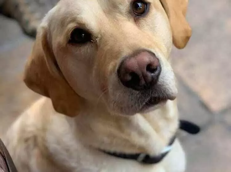 簡易ホテル The Cross Keys