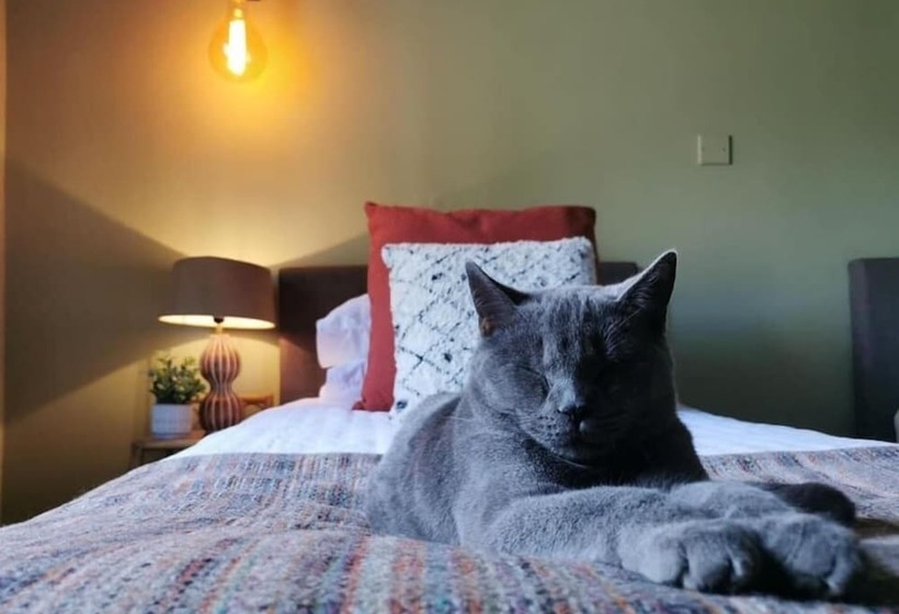 פונדק The Cross Keys