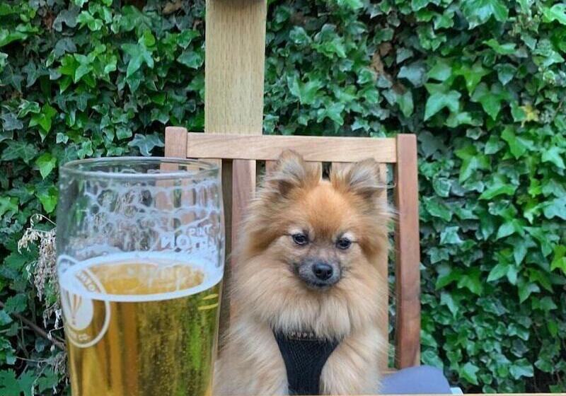 פונדק The Cross Keys