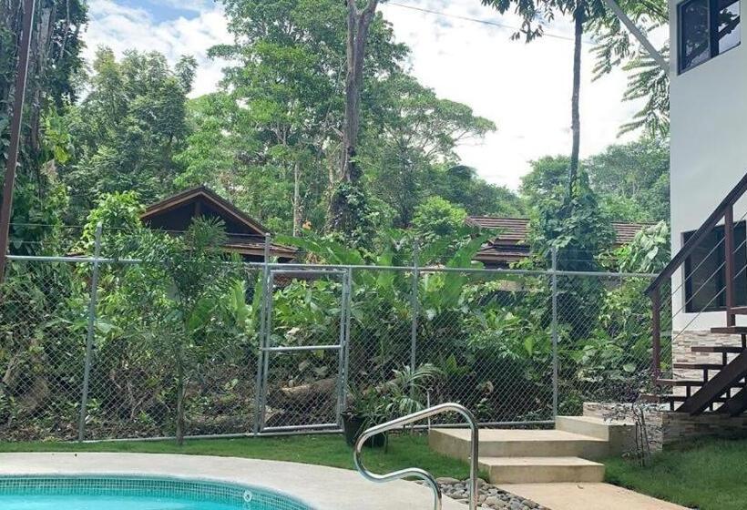 پانسیون Arococles