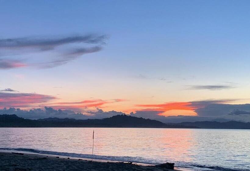 پانسیون Arococles