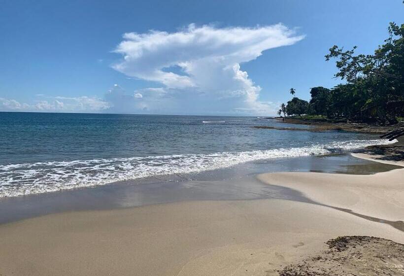 پانسیون Arococles