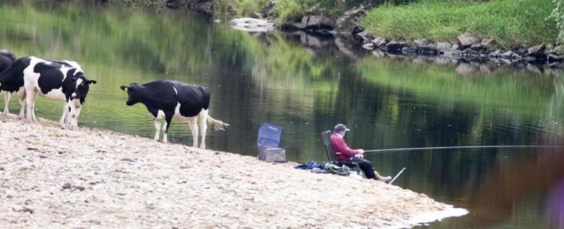 ペンション Riverside Barn Guest House