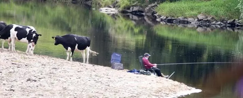 Majatalo Riverside Barn Guest House