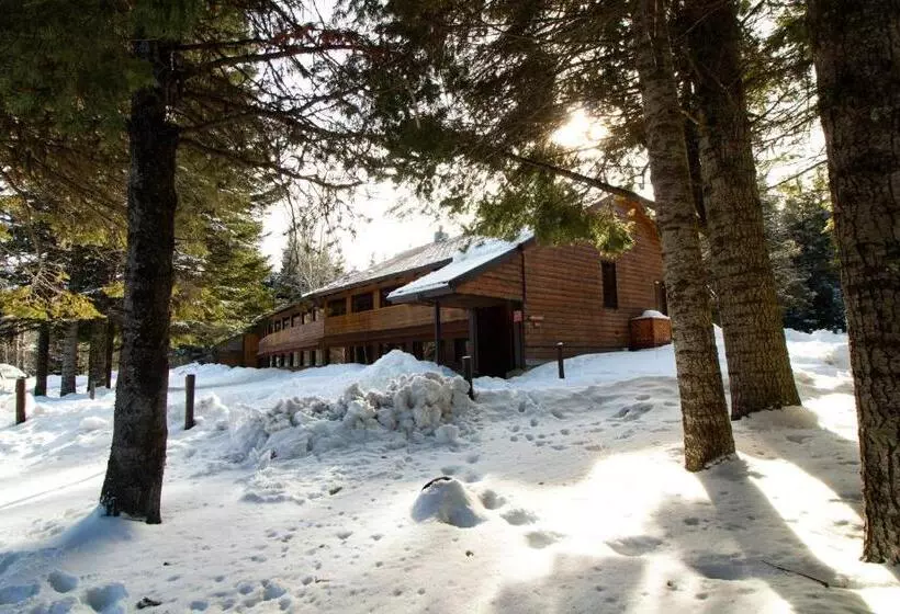 Retkeilymaja Cooper Spur Mountain Resort