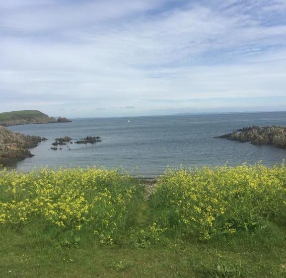 Общежитие Craighlaw Arms Vintage B&b