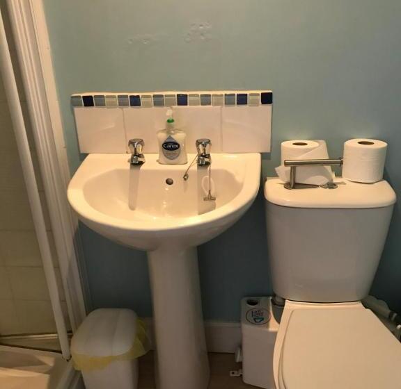 Общежитие Craighlaw Arms Vintage B&b