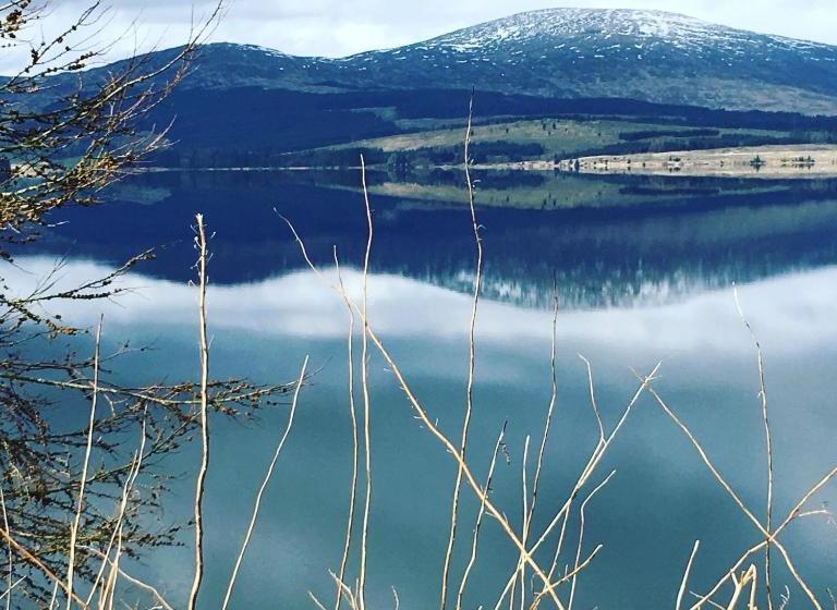 Общежитие Craighlaw Arms Vintage B&b