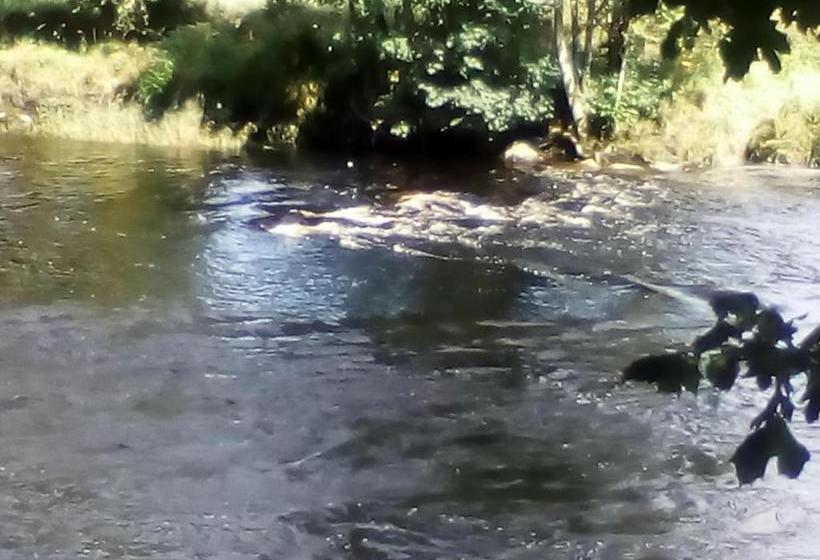 Общежитие Craighlaw Arms Vintage B&b