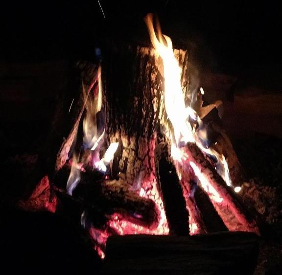 Bed and Breakfast Apple Bin Inn