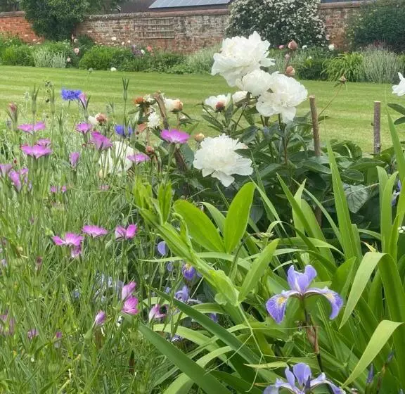 Aamiaismajoitus (B&B) Chadwell Hill Farm